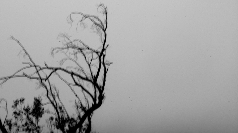 Cold Cold Feeling  |  Photography |&nbsp;Coffeepuss