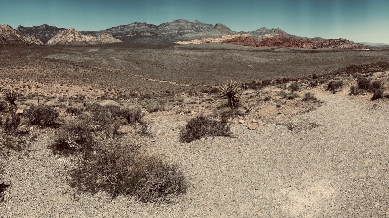 Red Rocks |&nbsp;Coffeepuss